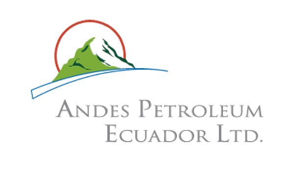 logo andes